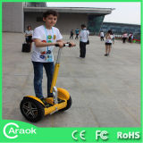 Caraok CE Approved Electric Scooter with Free Gift