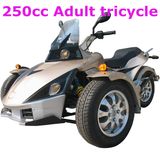 250CC Trike Motorcycle