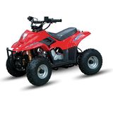 110cc ATV Zc-ATV-02