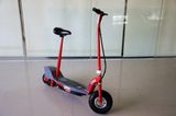 Two Wheel High Powered Electric Mobility Scooter (LT JE300)