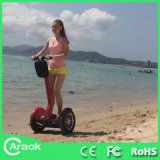 Caraok 2 Wheels Stand up Scooter Ca1500
