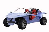 800CC Go Kart/Buggy (FPG800E-1)