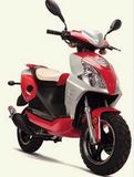 EEC/EPA Gas Scooter (BD50QT-31)