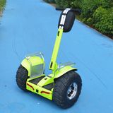 2016 Apple Green Two Wheel Electric Mobility Scooter