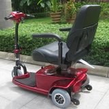 Battery Power CE Approval Three Wheel Disabled Vehicle (DL24250-1)