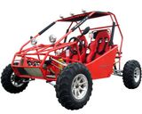 250CC Go Kart (GK-06-250)