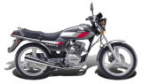 Motorcycle (QJ125-K)