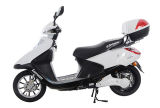 Electric Scooter (PB808)