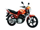 Motorcycle (FK125-8a Ruizi)