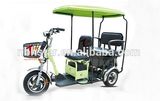 Pedal Electric Scooter with ABS Roof