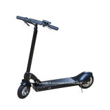 Adult E-Scooter /Electric Scooter with 350W Motor 36V 8ah Samsung Lithium Battery with CE Approval