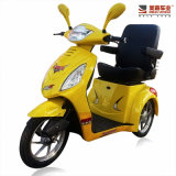 3 Wheel Electric Scooter Mj-13