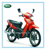 110cc/100cc/70cc/50cc Motorcycle, Moped (Wolf) , Motorbike, Motocicleta
