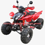 EEC Approval Red ATV (BON-ATV300-1)