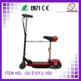 Electric Scooter (SX-E1013) -100