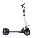 Folding Two Wheels Electric Motorbike Motorcycle Scooter (H2-60)