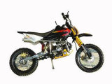 Dirt Bike (SJDK-C46)