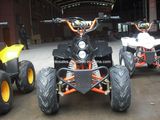 2013 110CC ATV Hot ATV Models (ET-ATV006 110CC ATV)