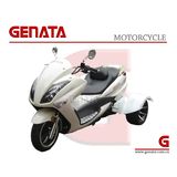 Three Wheel Motorcycle (GT200SL-1)