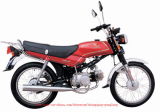 Motorcycle (110-D)