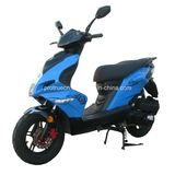 Fashion Popular 50cc EEC Scooter (SP50QT-14)