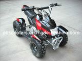 49CC 2-Stroke Mini ATV (YC-5002)