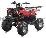 110cc ATV Vehicle Car (FXATV-002A-110cc SF)