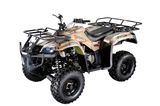 Hammer Style 250cc CVT Water Cooled ATV (MDL GA009-3)