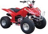 110cc QUAD/ATV with CE (FST-110)