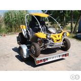 250cc Go Karts/Racing Go Kart Rlg1-250ds