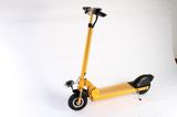 Electric Balance Scooter