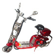 Gasoline Scooter (HP-GS093)