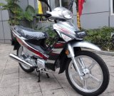 China New Cub Motorcycle 110cc, Popular in Africa