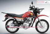 Motorcycle (SM150-WY)