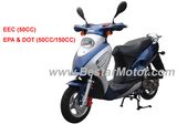 49.5CC/125CC/150CC Scooter (RS-804)