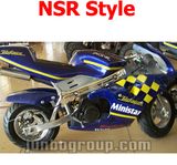 Pocket Bike, Mini Moto with NSR Style Sticker (DR160)