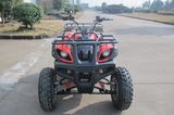 Electric Automatic ATV