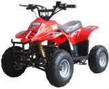 36V Mini Electric ATV (SM-ATV03)