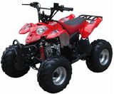 Mini ATV (XW-A52)