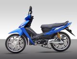 CUB Bike SKC110-8(III)