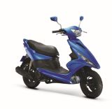 Electric Scooter (BRG50QT-17/125T-17)