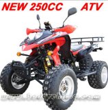New 250CC ATV, Quad (MC-382)
