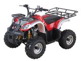 Youth Size 110CC ATV (ATV03)