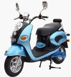 EEC Electric Scooter