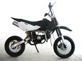 Dirt Bike (SJDK-C48F)