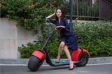 Two Wheel Smart Balance Electric Scooter