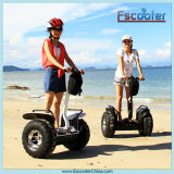 Two Wheel Brand Electric Scooter Drift Style, Smart Balance Wheel Scooter