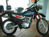 Motorcycle (SK250GY-4)