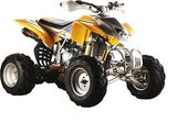 200CC ATV / Quad (T-200A-1ATV/QUAD)