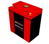 W-Standard Lithium Battery Wex5r14-Mf